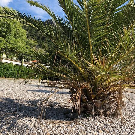 Villa Sabine Apartment Losinj Медвея Екстериор снимка